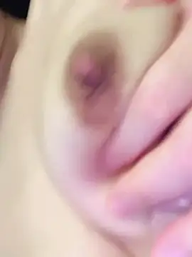 fddetd online show from November 26, 1:45 pm