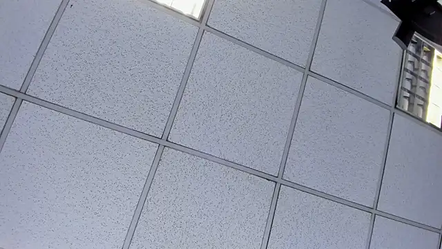 Alyssa Noah online show from April 21, 2:51 am