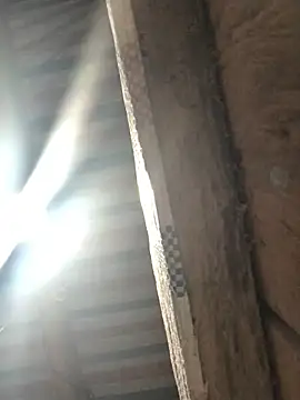 bae-asian online show from April 8, 9:50 pm