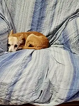 axell58 online show from December 19, 3:59 pm