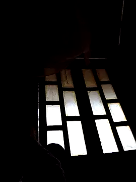 lemon-beo online show from December 22, 9:56 am