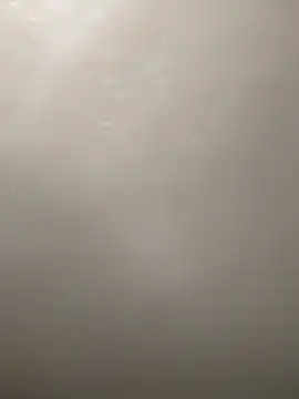 Camellia-Pink online show from March 16, 6:17 am