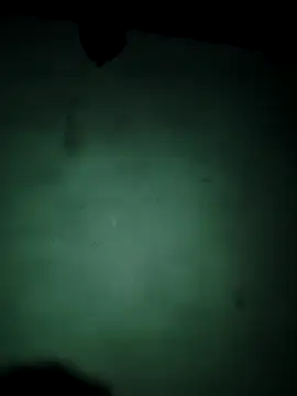 vishalk12346 online show from January 13, 6:01 pm