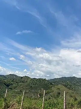 Ema Rose  online show from February 7, 7:18 pm