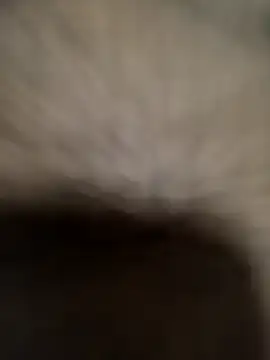 Totoperveso online show from April 5, 8:19 pm