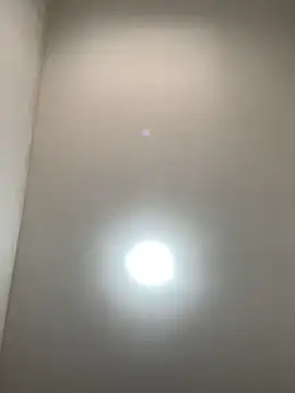 Cachinhossfd online show from February 5, 5:16 pm