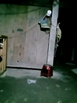 him220 online show from January 31, 11:25 pm