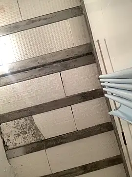 gatadaacademia online show from February 7, 3:32 am