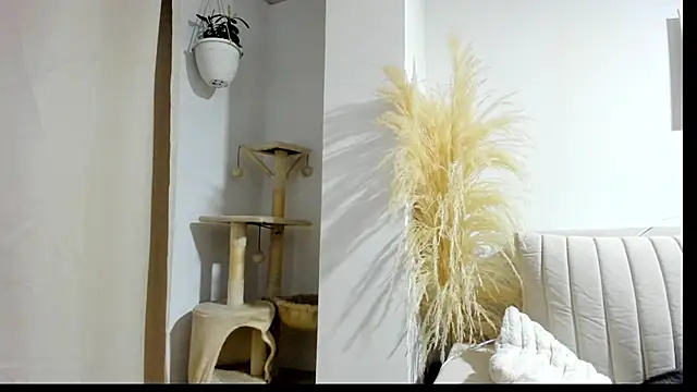  Sweet ary online show from April 8, 2:57 am