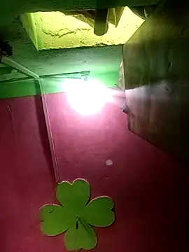 Riyakumari hot66 online show from February 22, 9:21 am