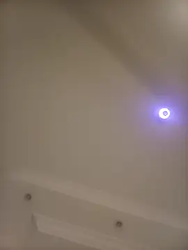 moannapozzy online show from February 9, 4:04 am