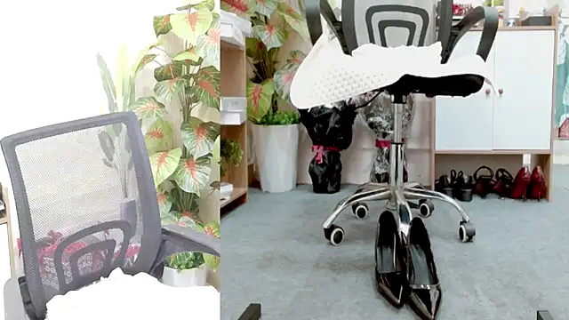 Zinna999 online show from March 10, 12:42 pm