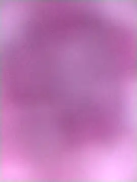 ankita077 online show from February 15, 7:02 pm