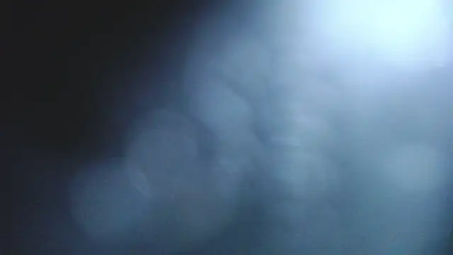 Stannly1 online show from March 11, 9:35 am