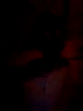 wifedesi7050 online show from March 5, 4:47 pm