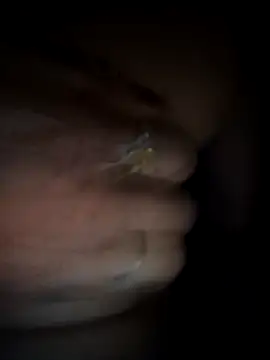 Rashmika Mandana online show from March 18, 6:57 pm