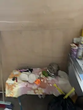 Chocokrispy69 online show from June 19, 6:17 am