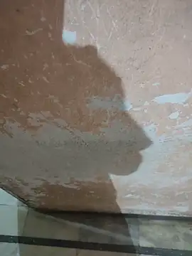 Tamillaxmi12 online show from April 15, 2:39 pm