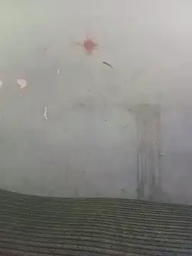 School teacher12 online show from April 14, 3:34 pm