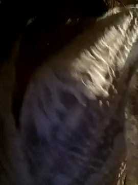 Personality-girl- online show from March 22, 1:39 pm