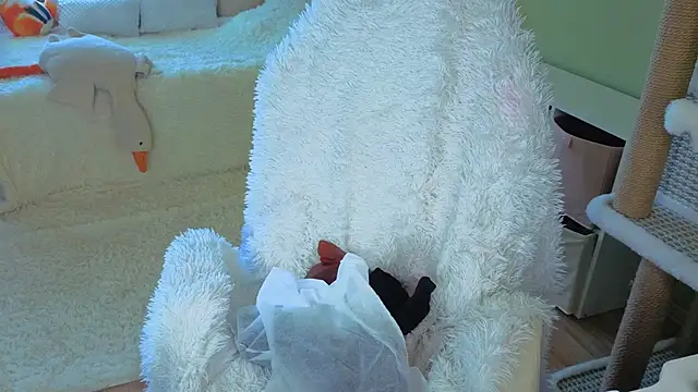 Regina Noire online show from April 9, 10:31 am