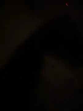 Pretty-pink online show from April 20, 1:47 pm