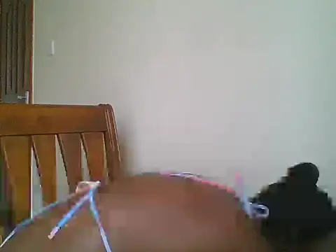 babykisses online show from June 13, 11:07 am