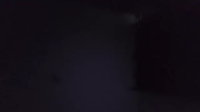 Taz balls online show from July 2, 5:13 am