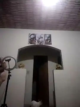 catdool online show from April 21, 9:44 pm