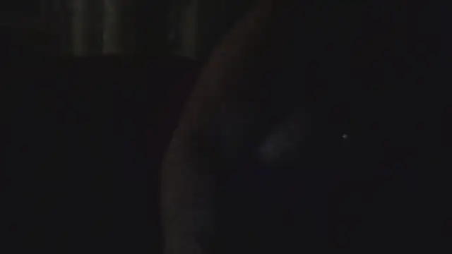 Dolcezza online show from November 24, 3:19 am