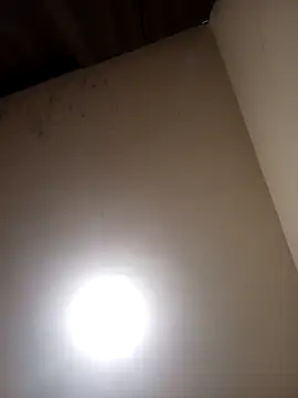 sua sub  online show from February 9, 12:18 pm