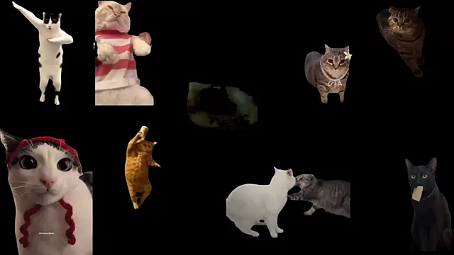 aberaaruba online show from October 30, 2:51 pm