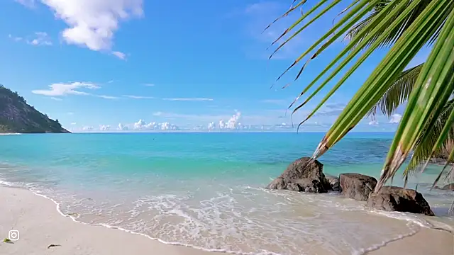 honeey  online show from October 15, 11:07 pm