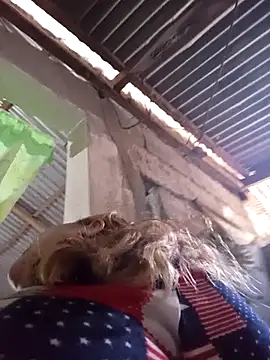 wet babexxx online show from October 29, 1:32 am