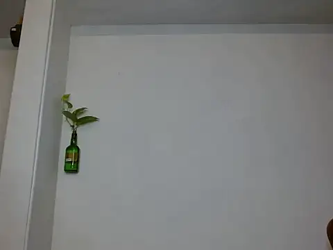 MALLU TS online show from November 15, 7:48 pm