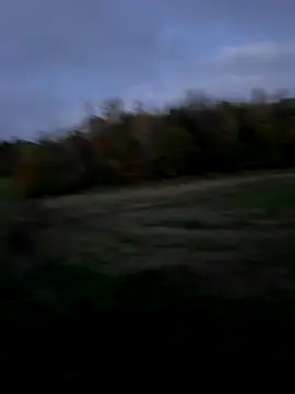 Andreashow online show from October 9, 4:00 pm