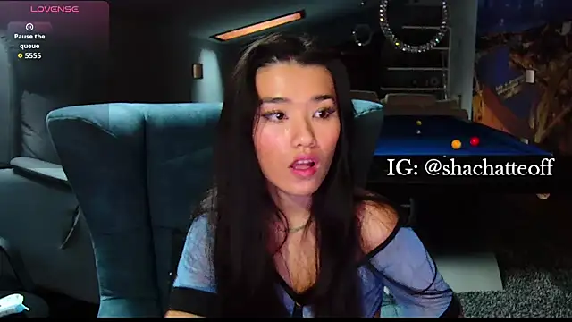 shachatteof online show from November 16, 9:00 am