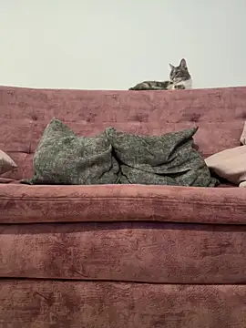 gabiTetas online show from October 9, 9:52 pm