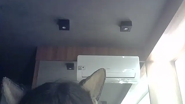 Skinny-Kitten online show from February 10, 4:26 am